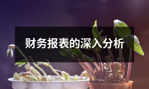 财务报表的深入分析