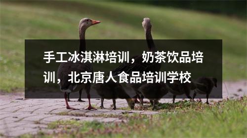 手工冰淇淋培训,奶茶饮品培训,北京唐人食品培训学校