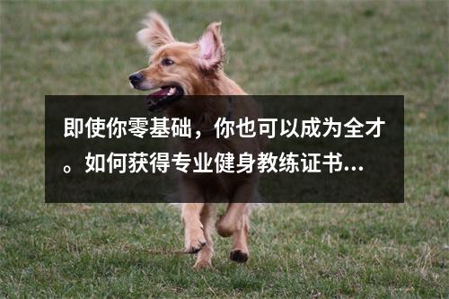 即使你零基础,你也可以成为全才。如何获得专业健身教练证书?