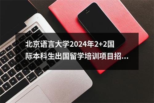 北京语言大学2024年2+2国际本科生出国留学培训项目招生信息
