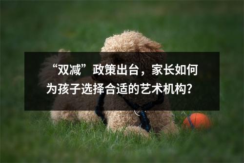 “双减”政策出台,家长如何为孩子选择合适的艺术机构?