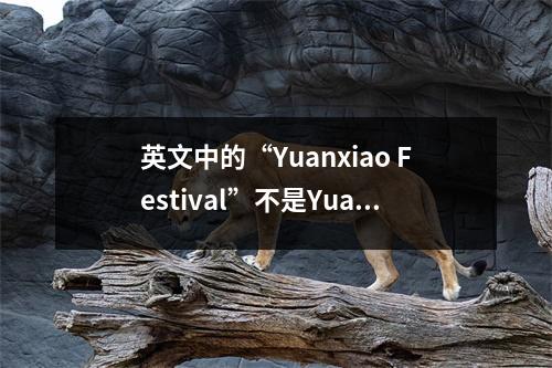 英文中的“Yuanxiao Festival”不是Yuanxiao Festival