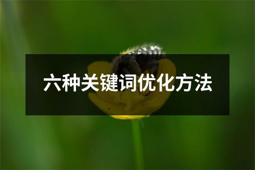 六种关键词优化方法