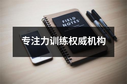 专注力训练权威机构
