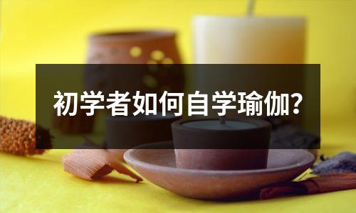 初学者如何自学瑜伽?