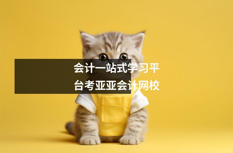 会计一站式学习平台考亚亚会计网校