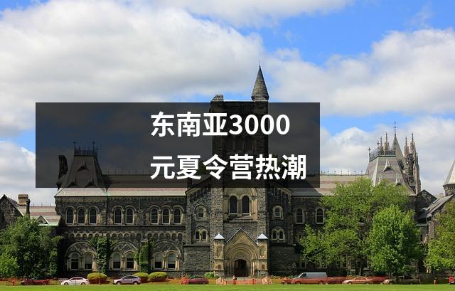东南亚3000元夏令营热潮