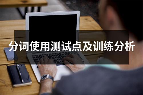 分词使用测试点及训练分析