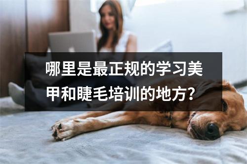 哪里是最正规的学习美甲和睫毛培训的地方?