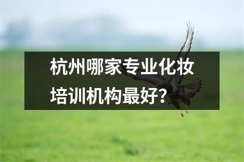 杭州哪家专业化妆培训机构最好?