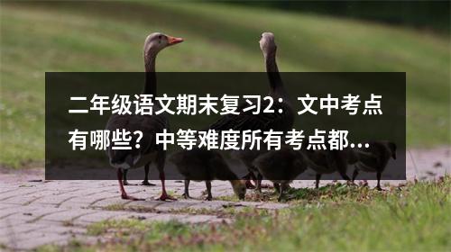二年级语文期末复习2:文中考点有哪些?中等难度所有考点都在这里