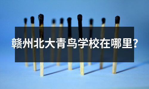 赣州北大青鸟学校在哪里？