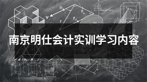 南京明仕会计实训学习内容