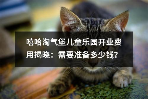 嘻哈淘气堡儿童乐园开业费用揭晓:需要准备多少钱?