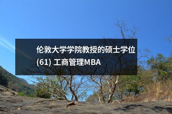 伦敦大学学院教授的硕士学位(61) 工商管理MBA