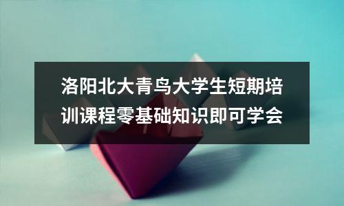 洛阳北大青鸟大学生短期培训课程零基础知识即可学会