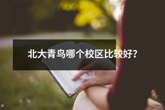 北大青鸟哪个校区比较好?