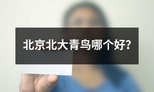 北京北大青鸟哪个好?