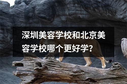 深圳美容学校和北京美容学校哪个更好学?