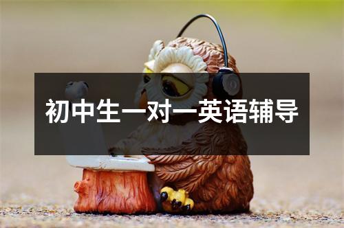初中生一对一英语辅导