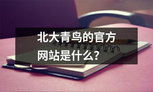 北大青鸟的官方网站是什么?