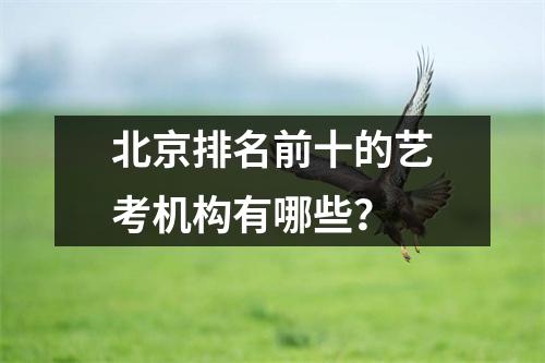 北京排名前十的艺考机构有哪些?