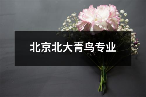 北京北大青鸟专业