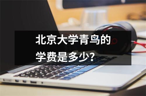 北京大学青鸟的学费是多少?