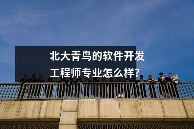 北大青鸟的软件开发工程师专业怎么样?
