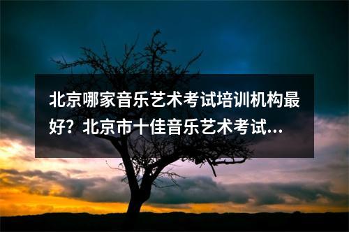 北京哪家音乐艺术考试培训机构最好?北京市十佳音乐艺术考试培训机构排名