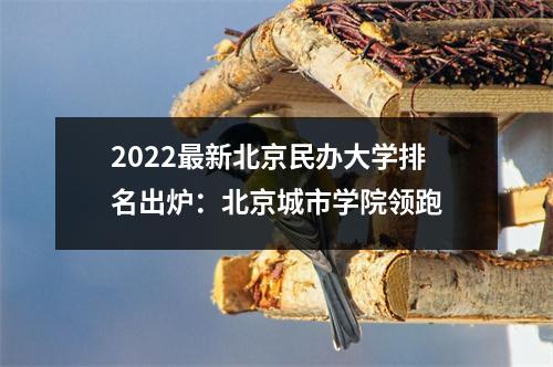 2022最新北京民办大学排名出炉:北京城市学院领跑