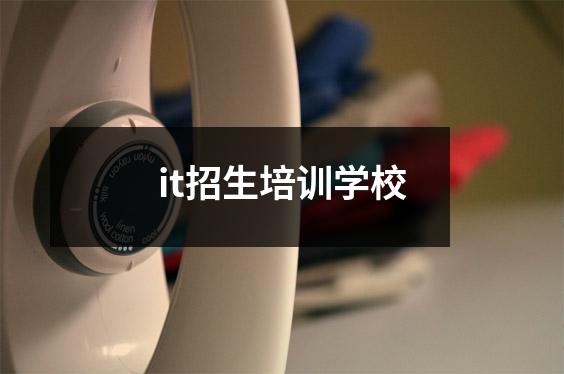 it招生培训学校