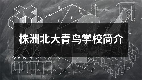 株洲北大青鸟学校简介