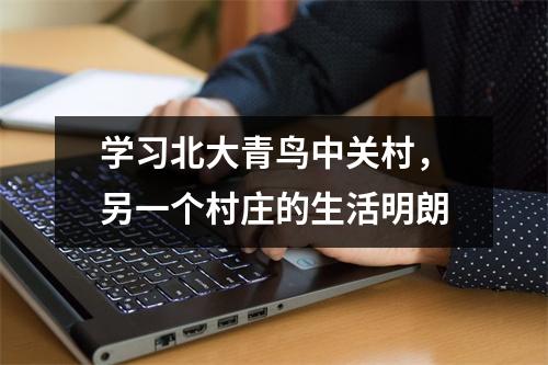 学习北大青鸟中关村,另一个村庄的生活明朗