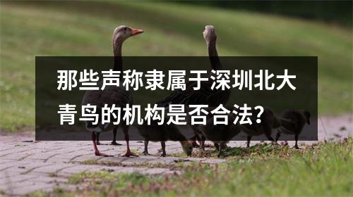 那些声称隶属于深圳北大青鸟的机构是否合法?