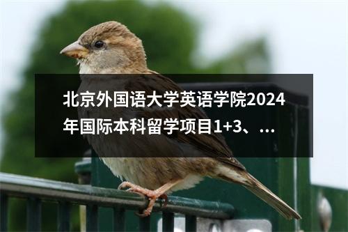 北京外国语大学英语学院2024年国际本科留学项目1+3、2+2招生信息