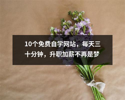10个免费自学网站,每天三十分钟,升职加薪不再是梦