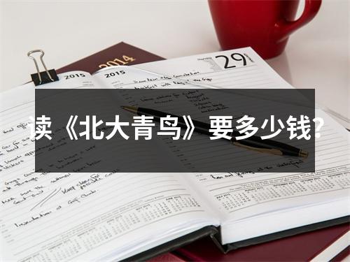 读《北大青鸟》要多少钱?