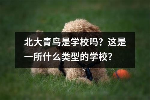 北大青鸟是学校吗?这是一所什么类型的学校?