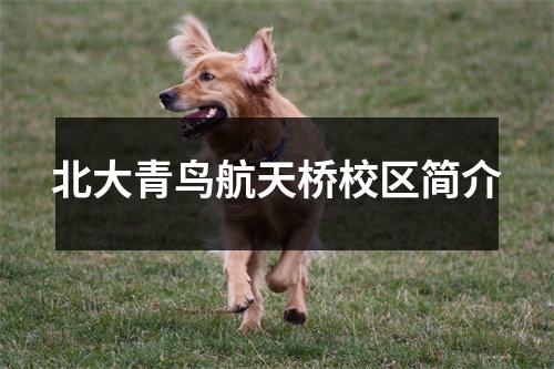 北大青鸟航天桥校区简介