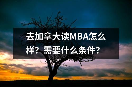 去加拿大读MBA怎么样?需要什么条件?