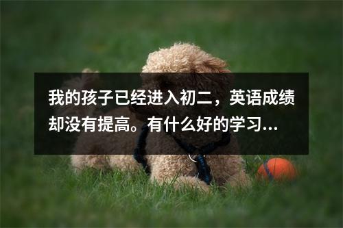我的孩子已经进入初二,英语成绩却没有提高。有什么好的学习方法吗?