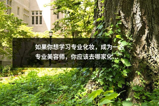 如果你想学习专业化妆,成为一名专业美容师,你应该去哪家化妆学校呢?