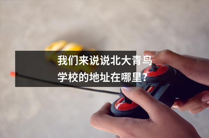 我们来说说北大青鸟学校的地址在哪里?