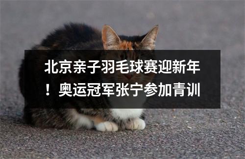 北京亲子羽毛球赛迎新年!奥运冠军张宁参加青训