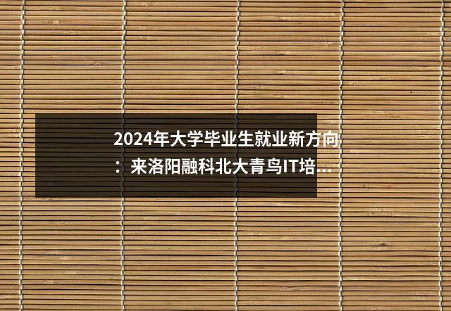 2024年大学毕业生就业新方向:来洛阳融科北大青鸟IT培训的优势