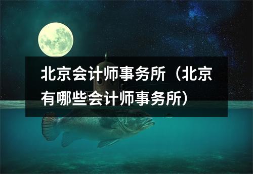北京会计师事务所(北京有哪些会计师事务所)