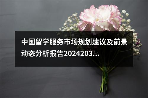 中国留学服务市场规划建议及前景动态分析报告20242030