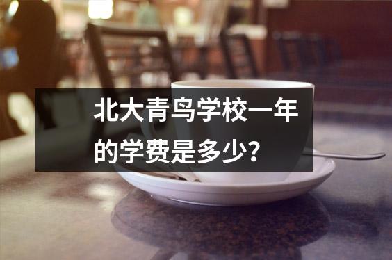 北大青鸟学校一年的学费是多少?