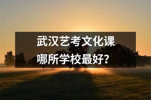 武汉艺考文化课哪所学校最好?
